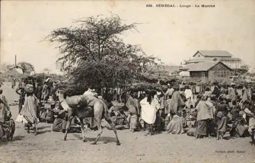 Ak Louga Senegal, Markt