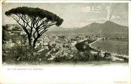 Ak Napoli Neapel Campania, Panorama