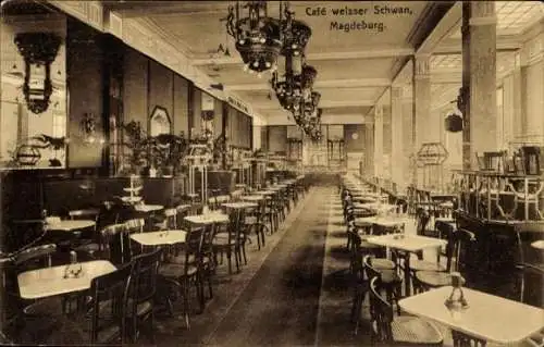 Ak Magdeburg an der Elbe, Café Weißer Schwan