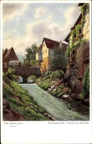 Künstler Ak Starcke, Rich., Neckarsteinach in Hessen, an der Steinach