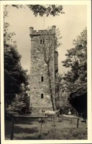 Ak Suhl in Thüringen, Gaststätte auf dem Domberg