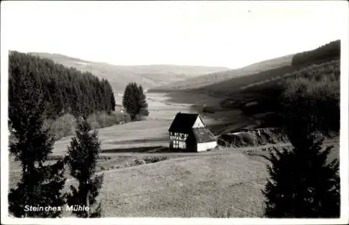 Ak Daaden im Westerwald, Steinches Mühle