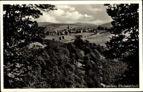 Ak Winterberg im Hochsauerlandkreis, Panorama