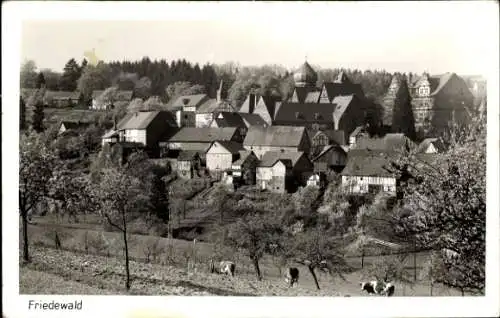 Ak Friedewald Westerwald, Gesamtansicht