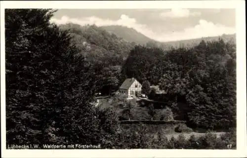 Ak Lübbecke in Westfalen, Wald, Försterhaus