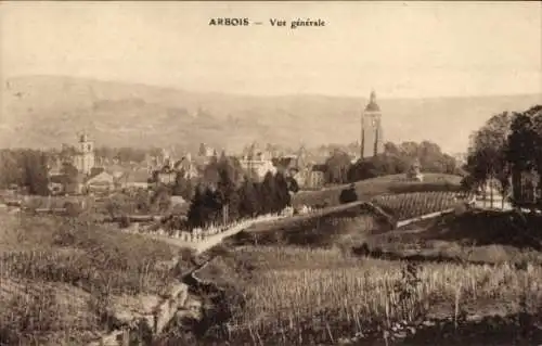 Ak Petit Arbois Meurthe et Moselle, Vue generale