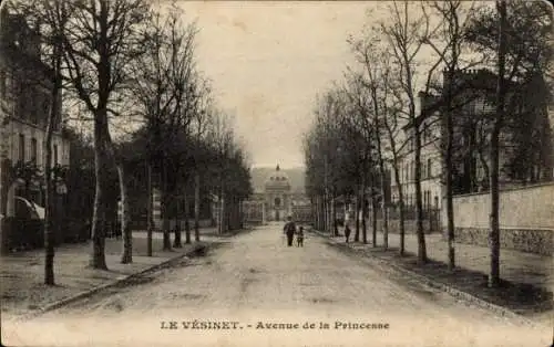 Ak Le Vésinet Yvelines, Avenue de la Princesse