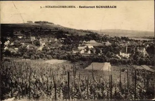 Ak Scharrachbergheim Irmstett Bas Rhin, Restaurant Scharrach, Panorama vom Ort