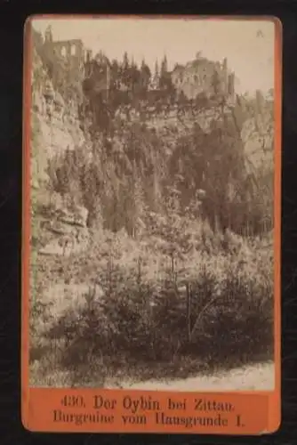 CdV Foto Zittau Oberlausitz in Sachsen, Der Berg Oybin mit Burgruine