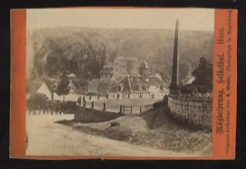 CdV Foto Mägdesprung im Selketal im Harz, Teilansicht des Ortes