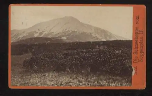 CdV Foto Równia pod Śnieżką (Koppenplan) nahe Krummhübel, Bick zur Schneekoppe