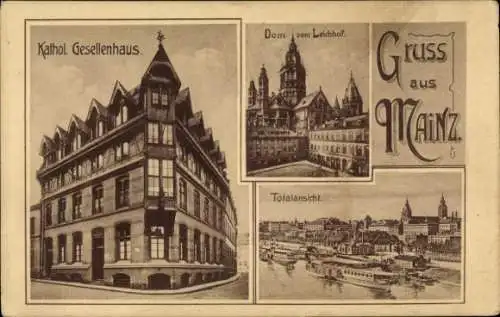 Ak Mainz am Rhein, Gesamtansicht, Katholisches Gesellenhaus, Dom, Leichhof