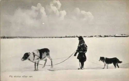 Ak Schwedische Tracht, Rentier, Hund, Schnee