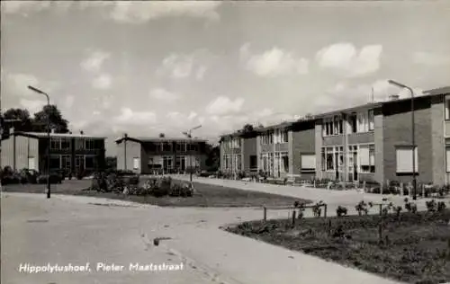 Ak Hyppolitushoef Hippolytushoef Wieringen Nordholland Niederlande, Pieter Maatsstraat