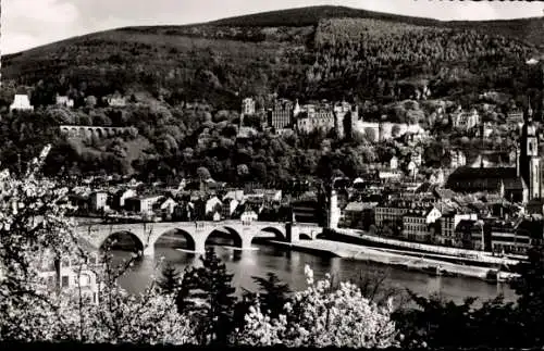 Ak Heidelberg am Neckar, Teilansicht, Blick Philosophenweg, Brücke