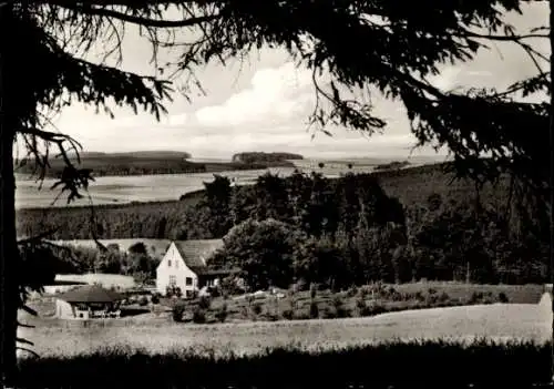 Ak Hoppecke Brilon im Sauerland, Gästehaus Drei Eichen, Wald