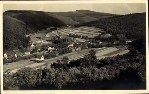 Ak Niederdreisbach im Westerwald, Panorama