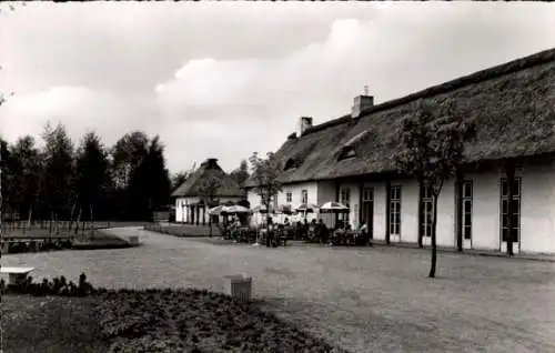 Ak Neumünster in Holstein, Cafe im Tierpark