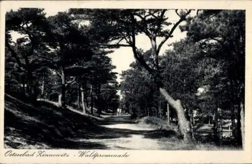 Ak Ostseebad Zinnowitz auf Usedom, Waldpromenade