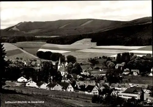 Ak Eslohe im Sauerland, Gesamtansicht