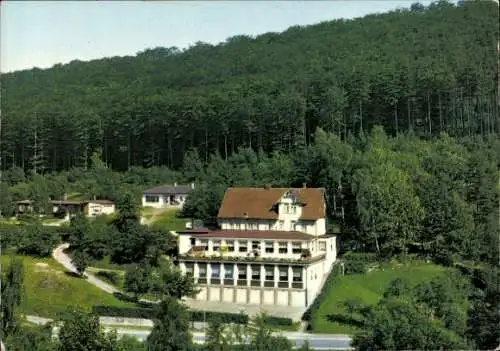 Ak Wolfshagen Langelsheim am Harz, Berghotel