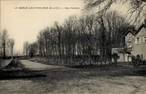 Ak La Queue les Yvelines, Rue Pelletier