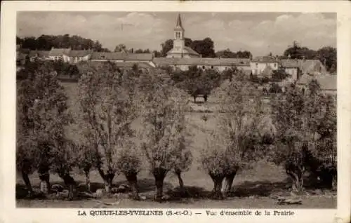 Ak La Queue les Yvelines, Gesamtansicht der Prärie