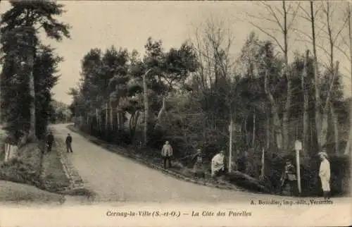 Ak Cernay-la-Ville Yvelines, La Côte des Pucelles