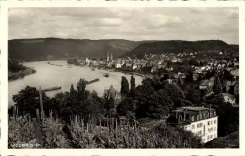 Ak Boppard am Rhein, Panorama