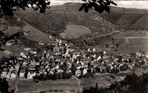 Ak Treis an der Mosel, Panorama