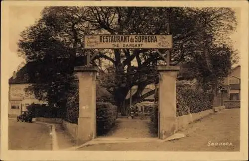 Ak Villennes sur Seine Yvelines, Restaurant du Sophora