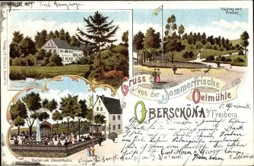 Litho Oberschöna Mittelsachsen, Gasthaus Oelmühle, Garten, Konzerthalle, Waldweg