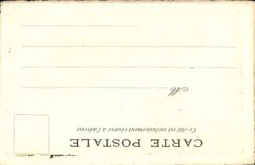 Künstler Ak Eine Gans