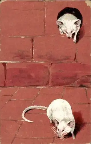 Präge Litho Zwei weiße Mäuse, Mäuseloch, Ratten