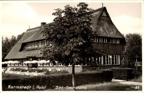 Ak Barmstedt in Holstein, See-Gaststätte, Reetdachhaus, Terrasse