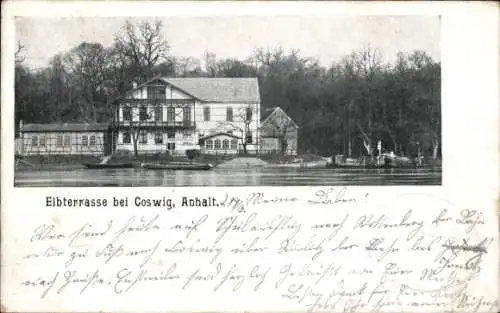 Ak Coswig in Anhalt, Elbterrasse