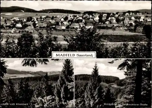 Ak Madfeld Brilon im Sauerland, Gesamtansicht, Wald, Rösenbeck