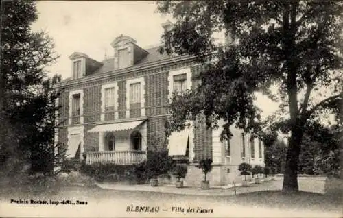 Ak Bléneau Yonne, Villa des Fleurs