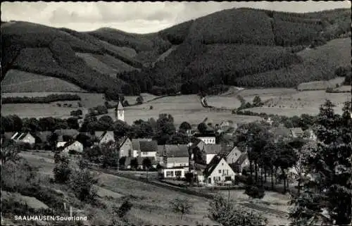 Ak Saalhausen Lennestadt im Sauerland, Teilansicht