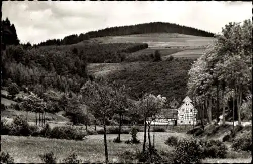 Ak Züschen Winterberg im Sauerland, Gasthof und Pension Waldheim