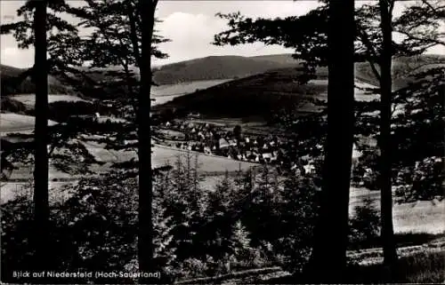 Ak Niedersfeld Winterberg im Sauerland, Panorama