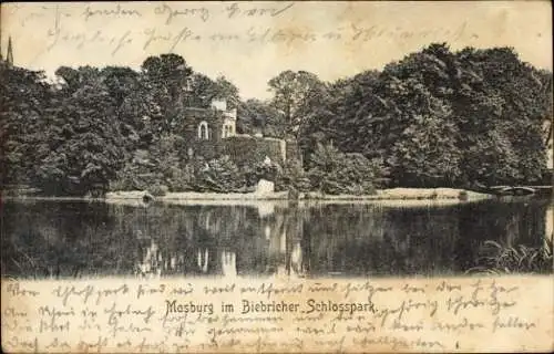 Ak Biebrich am Rhein Wiesbaden, Mosburg im Biebricher Schlosspark
