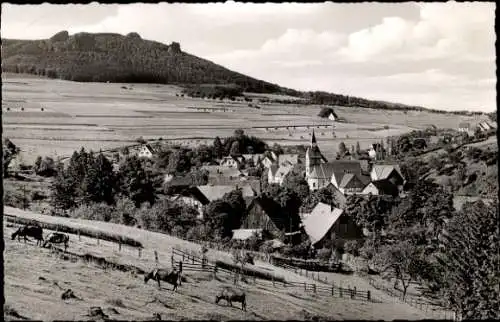 Ak Elleringhausen Olsberg im Sauerland, Panorama