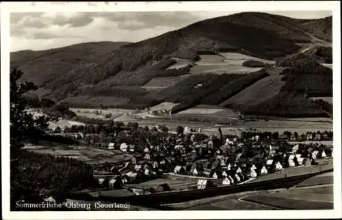 Ak Olsberg im Sauerland, Gesamtansicht