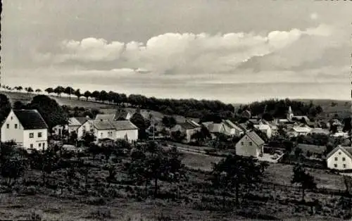 Ak Dahnen in der Eifel, Totalansicht