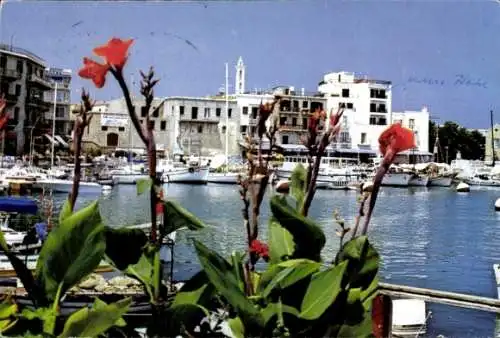 Ak Kyrenia Zypern, Hafen, Blumen