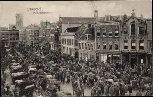 Ak Utrecht Niederlande, Palmpaardenmarkt