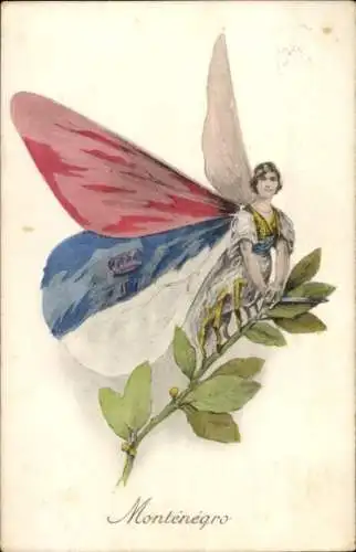 Ak Montenegro, Schmetterling in Nationalfarben, Allegorie