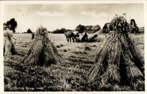 Ak Holten Overijssel Niederlande, Heuernte