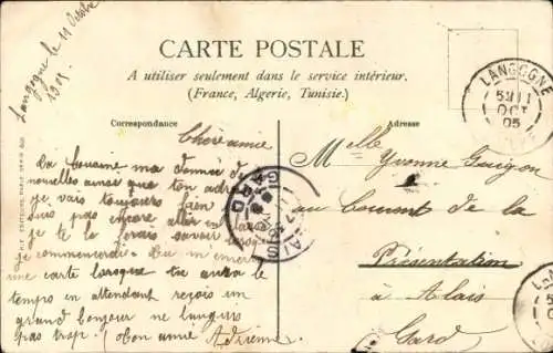 Ak Schwarz-weißer Hund, Tierporträt